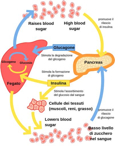 Come abbassare il livello di zucchero nel sangue